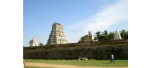 228. திருவெண்ணெய் நல்லூர்